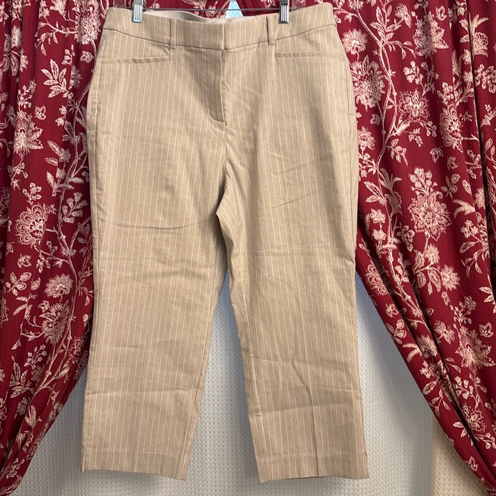 Lane Bryant Cream Pinstripe Capri
